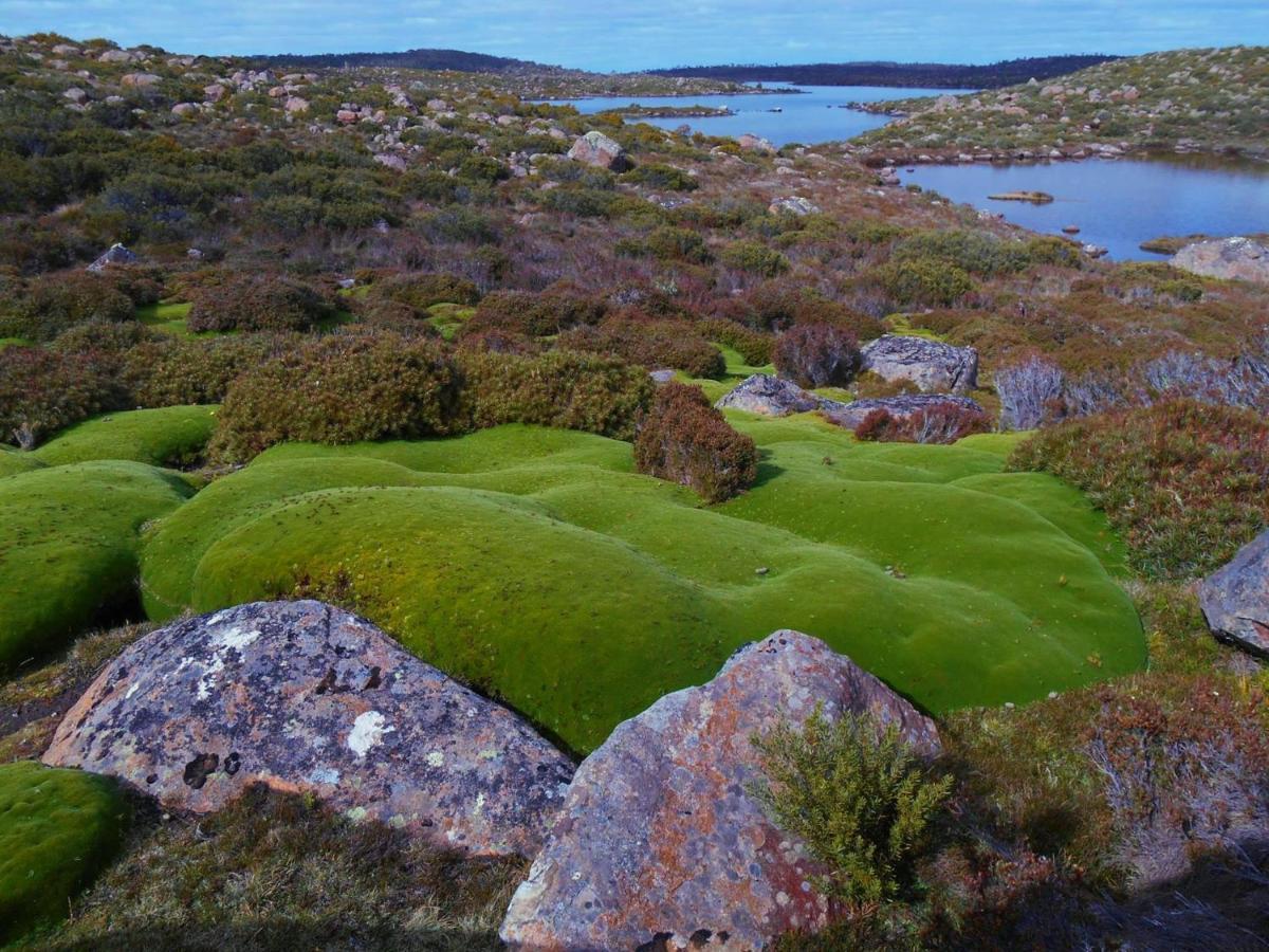 Thousand Lakes Lodge Liawenee Buitenkant foto