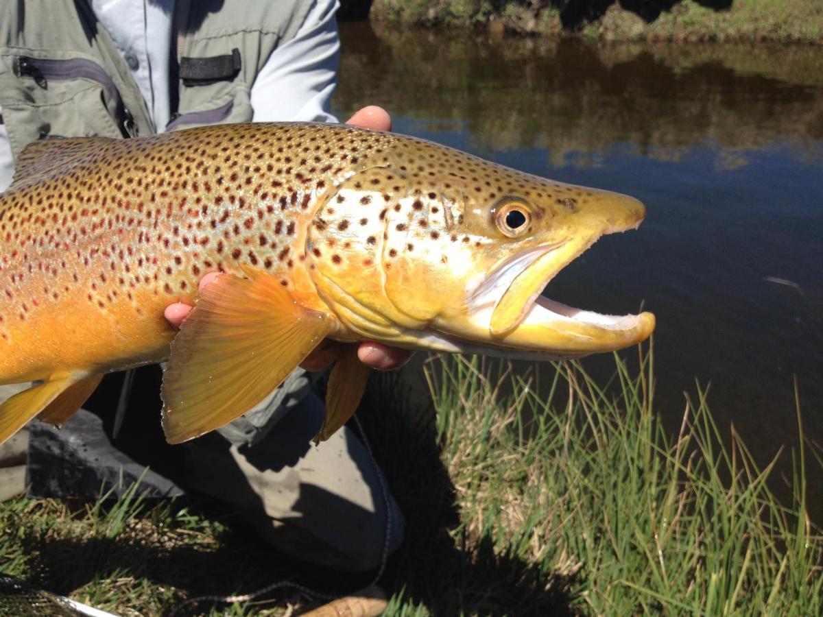 Thousand Lakes Lodge Liawenee Buitenkant foto